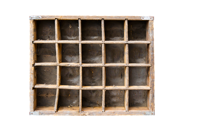 Data analytics and cost optimization specialist portrait